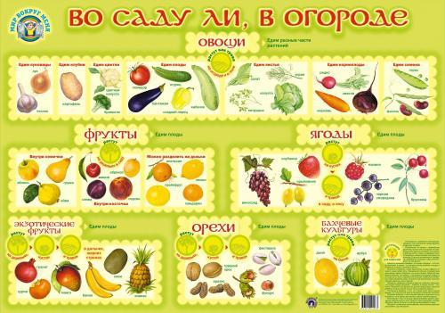 ��.�� ���� ��, � ������� (������, ������ 600*900��)