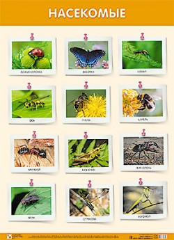 ��.��������� (500x690 ��)