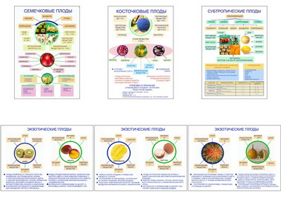 �.����� (6 ��,�����,70*100)