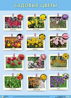 ��.������� �����(500x690 ��)