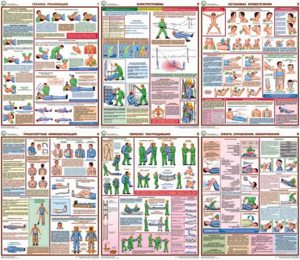 �-� ��.�������� ������ ������ ������������ (6 ��, ���)