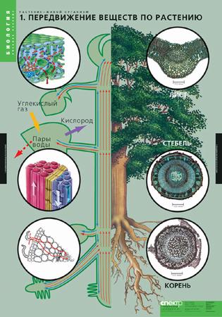 �.�������� � ����� ��������(4 ����.)