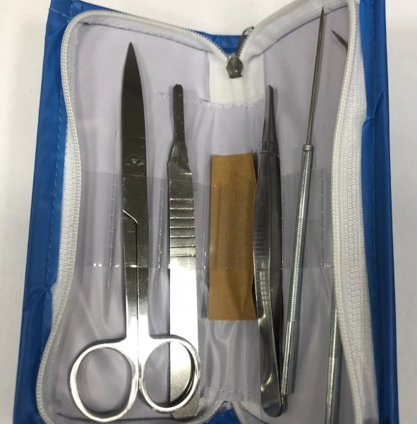 ����� ������������ �������������� ������
