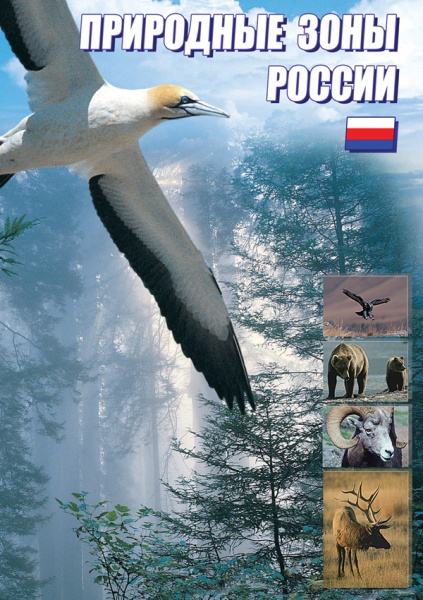 ��������� ���� ������ (DVD)