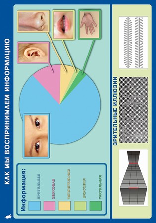 �.����������� � ��� 5-7 ������ (17 ����.)