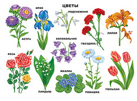 ��.����� (������ �-2)