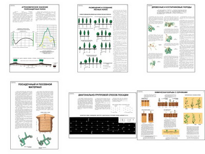 �.������������ ������ ������ (6 ��,�����,70*100)