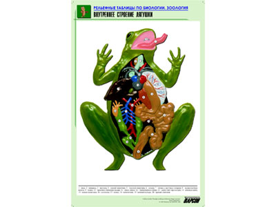 ��������� ������� "���������� �������� �������"