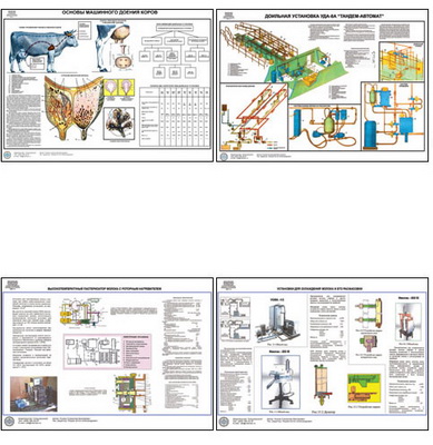 �.����������� ������ ����� � ��������� ��������� ������ (15 ��,�����,70*100)