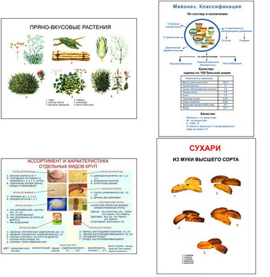 �.����������������� ������ � �������� (11 ��,�����,70*100)