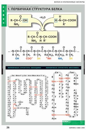 �.����� � ����������� ������� (8 ��)