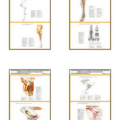 �.��������������� ��������.������� ������� ����.��� � ���������� (28 ��,�����,70*100)