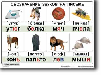 �.������� ���� 2 ����� (13 ������, 70�50 ��, ������, ���������)