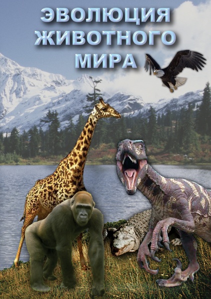 �������� ��������� ���� (DVD)