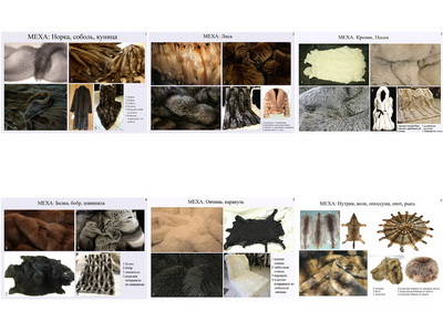 �.����������� ����� (6 ��,�����,70*100)