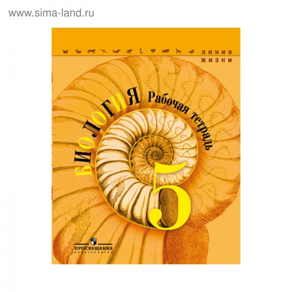 �������� (����� �����) �������� 5 ��. ���.����