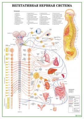 �.������������ ������� �������, �������������� �1