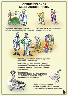 �.������ ����� ��� �������������������� �������(10����.������ 42*59)