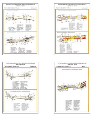 �.��������������� ��������.����.��� � ���������� (5 ��,�����,70*100)