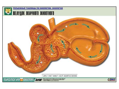 ��������� ������� "������� �������� ���������" (������ �1, ������� �������.)