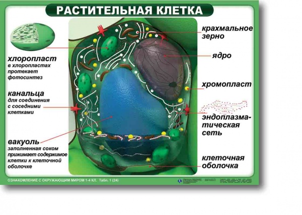 �.������������ � ���������� �����. (24 ����.,������, �����., 50�70 ��)