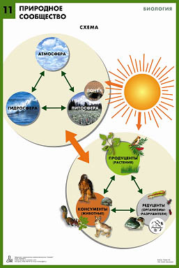 �������� ������ �� �������� ��� ���������� �������� �������� (11 ������)