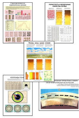 �.������ (21 ��,�����,70*100)