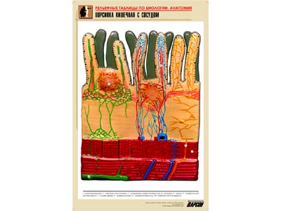 ��.�������� ��������� � ������� (������ �1,���.���,���������)