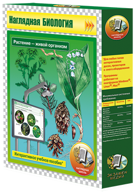 ��������� ��������. �������� - ����� �������� (CD)