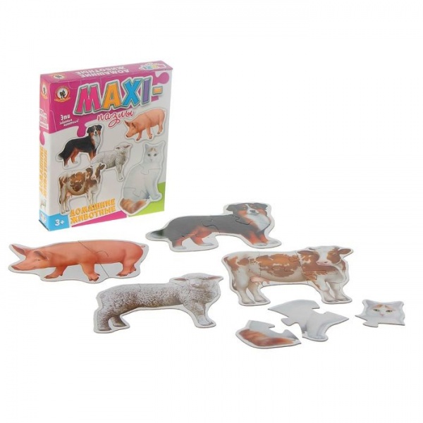 ���� �������� "�������� ��������" (��� �������)