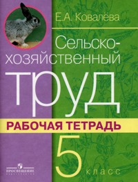 �������� �������������������� ���� 5 ��. �/� (8 ���)