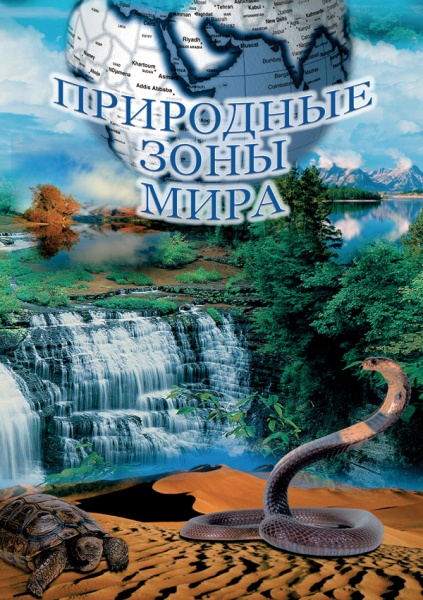 ��������� ���� ���� (DVD)