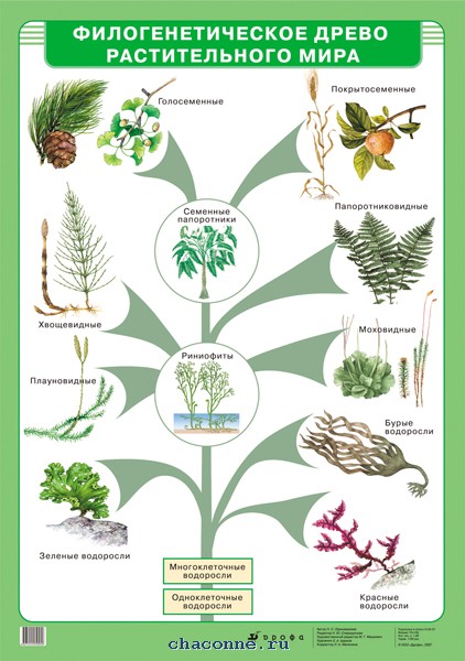 ����������������� ����� � ��� ���� � ��������� �������� �������� / �������������� �� (���) (��) 1055