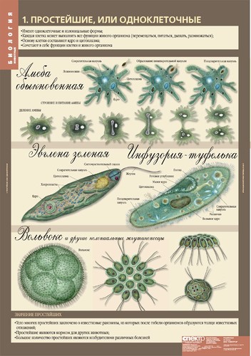 �.�������� 7 �����.��������(12 ����.)